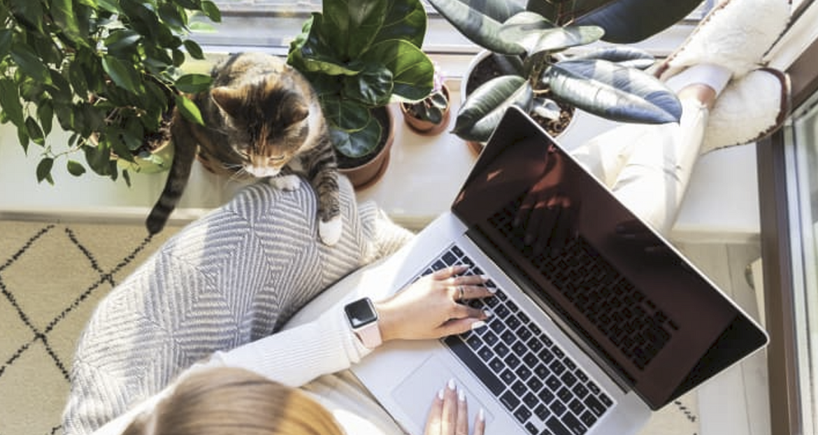 header company photo