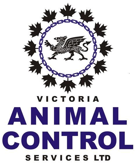 Jobs At Victoria Animal Control Services Ltd Bcjobs Ca