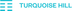 Turquoise HIll Resources Logo
