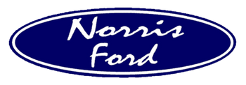 Natalie Logo