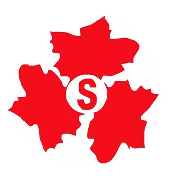 SWIS Recruiting & Employment Ltd Logo