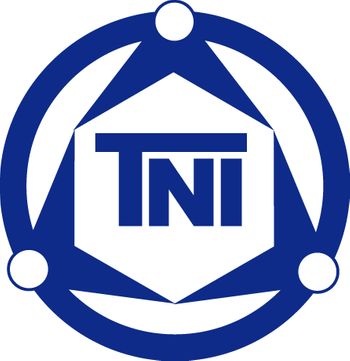 TNI The Network Inc. Logo