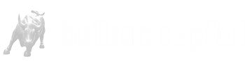 BullRun Developments Inc Logo