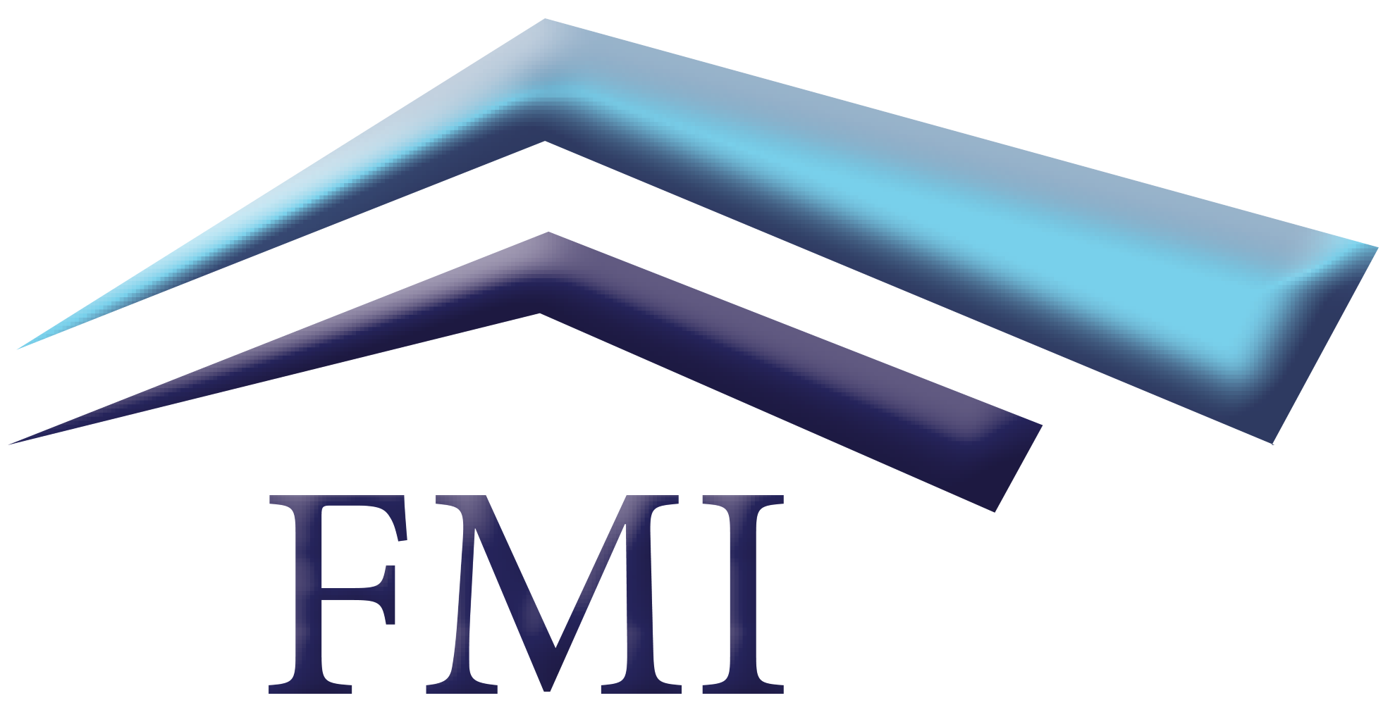 FMI ("Froude Management Inc.") Logo